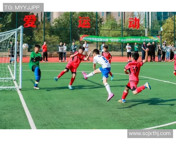 球星账号聚焦绿茵赛场畅谈足球激情与竞技风采 球星账号聚焦绿茵赛场畅谈足球激情与竞技风采